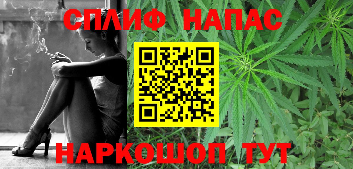 Бошки Шишки MAZAR Барнаул